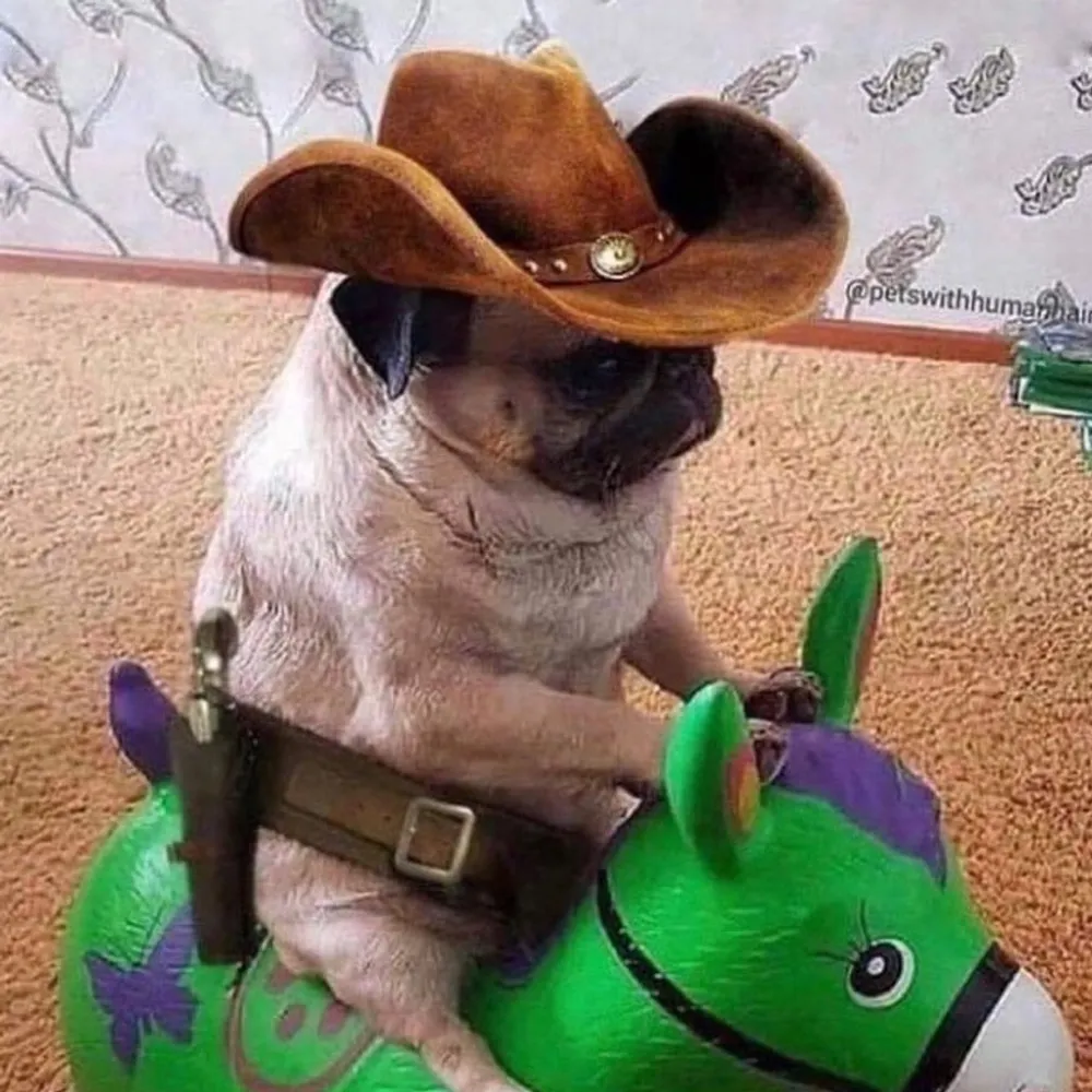 zekink.bsky.social's profile picture