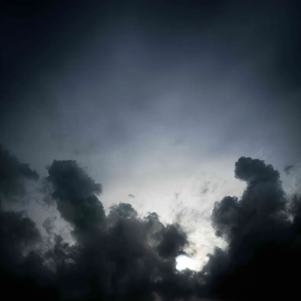 willbo24.bsky.social's profile picture