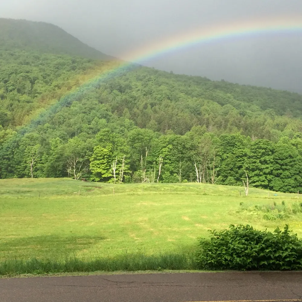 abellvt.bsky.social's profile picture