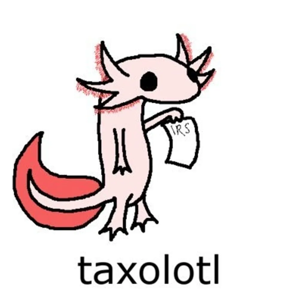 salamander.bsky.social's profile picture