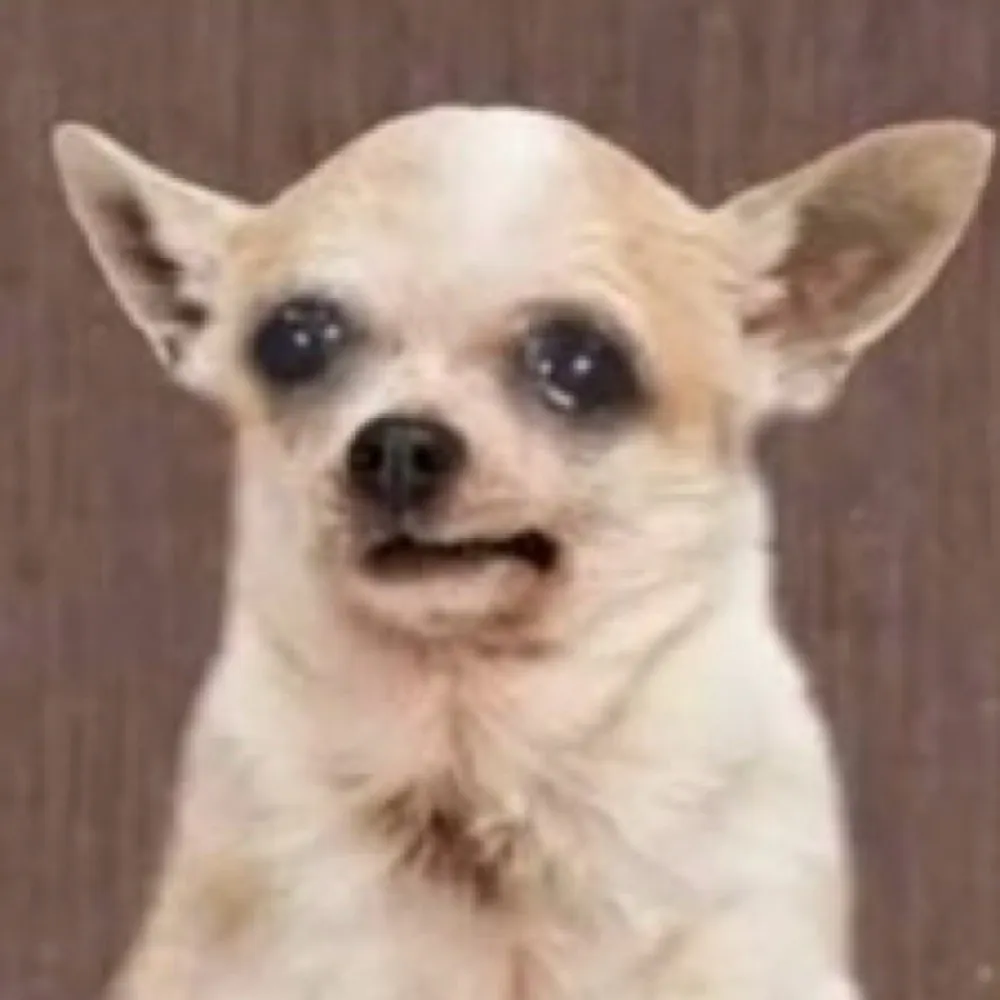 jesusandhisdog.bsky.social's profile picture