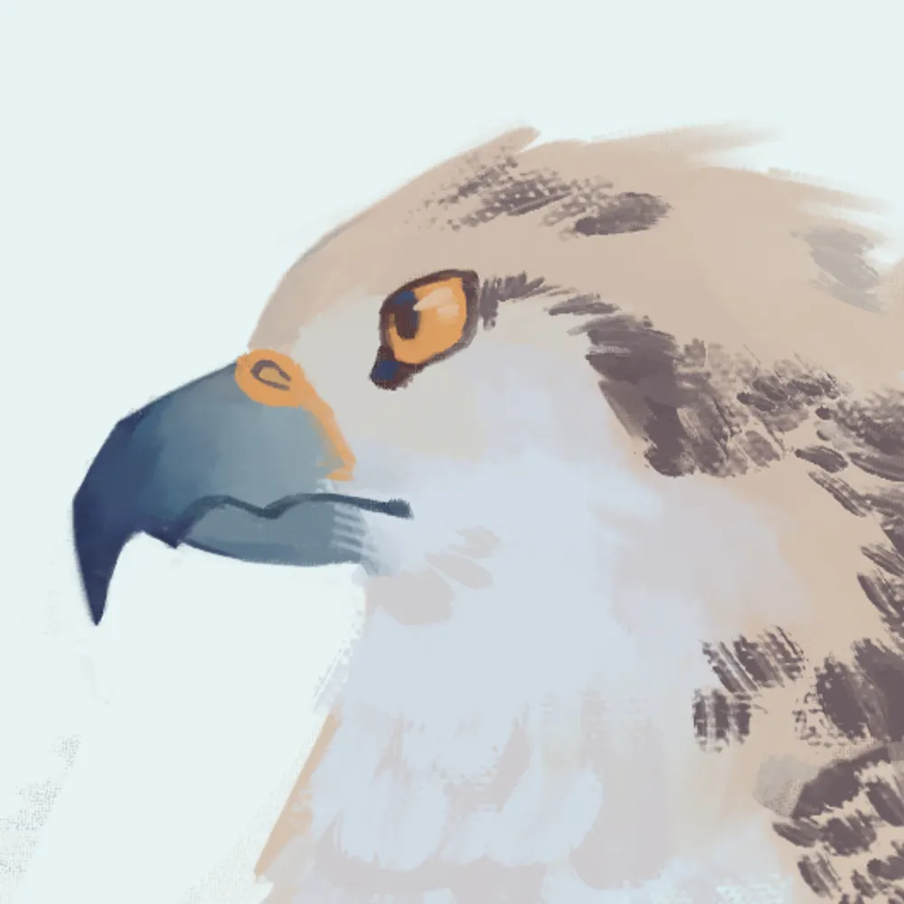 dilukha.bsky.social's profile picture