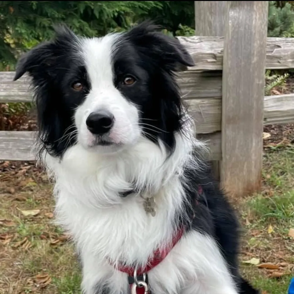 vancitynancy.bsky.social's profile picture