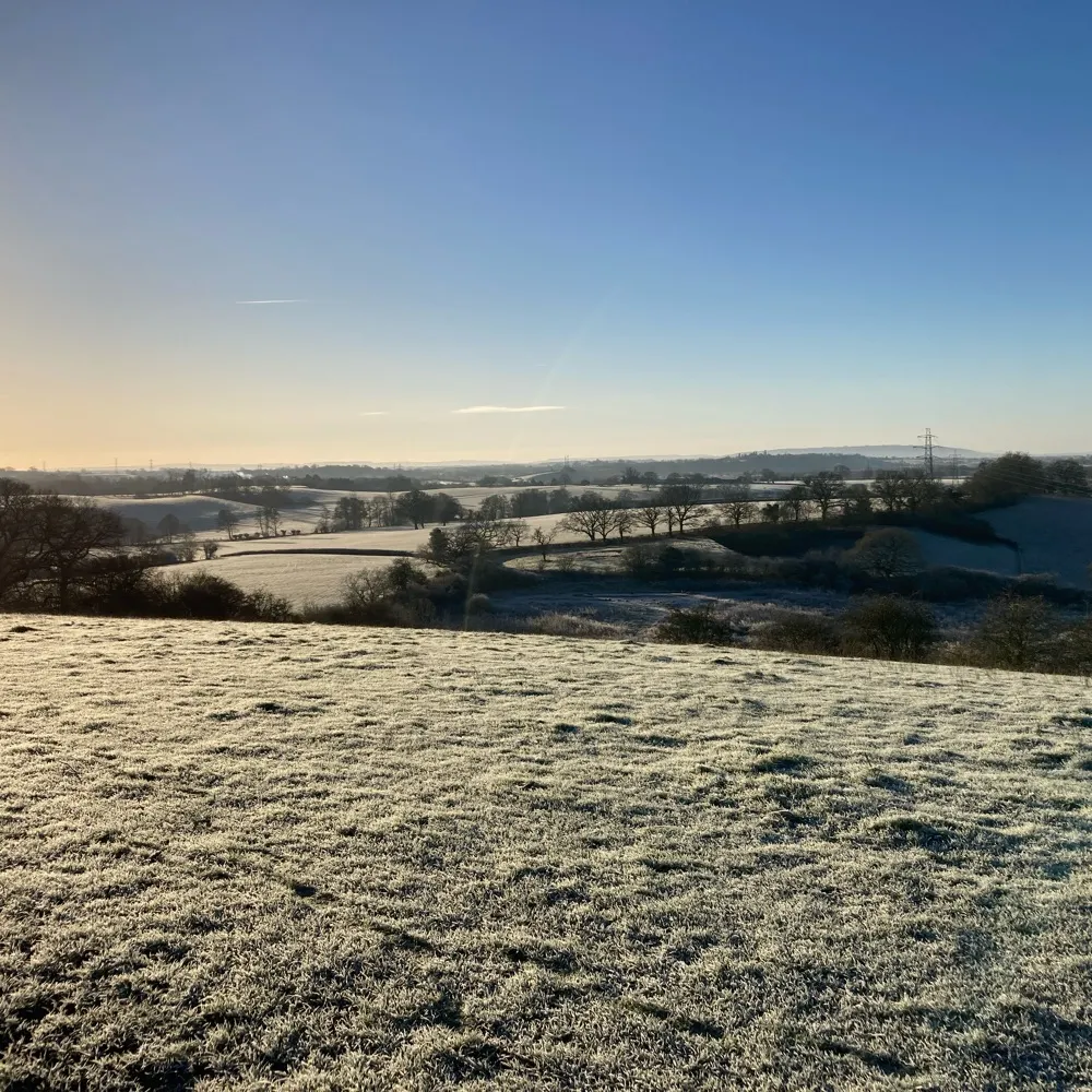 wholegrainmustard1.bsky.social's profile picture