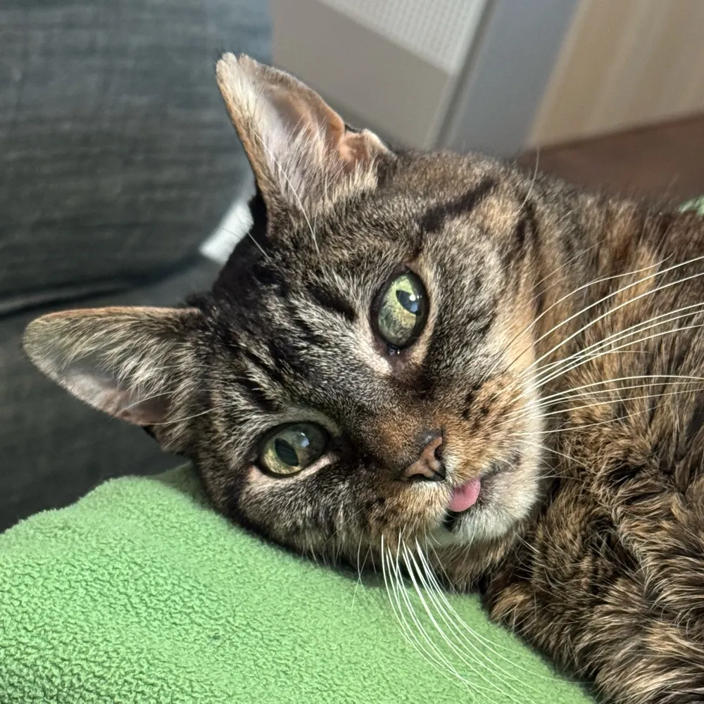 sc0-0ter.bsky.social's profile picture