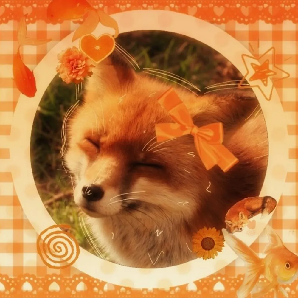 firesidecollie.bsky.social's profile picture