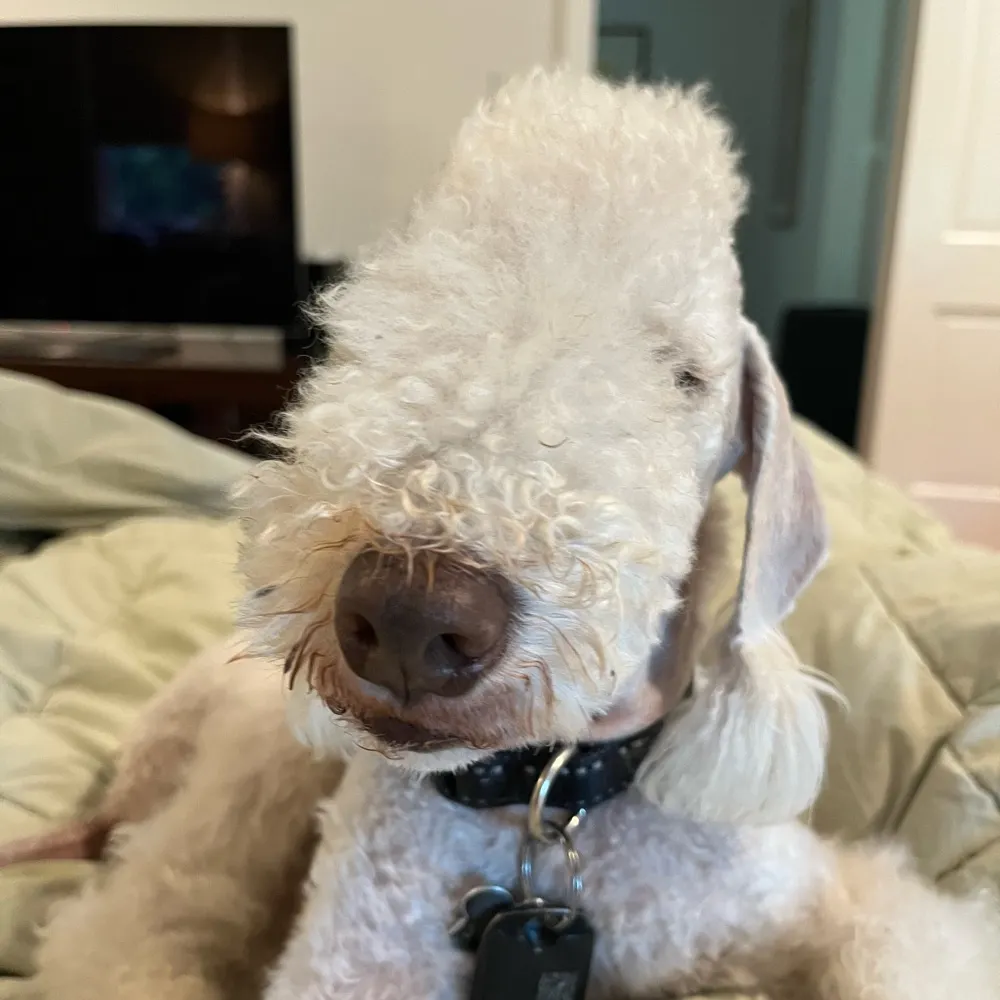 oftsurprised.bsky.social's profile picture