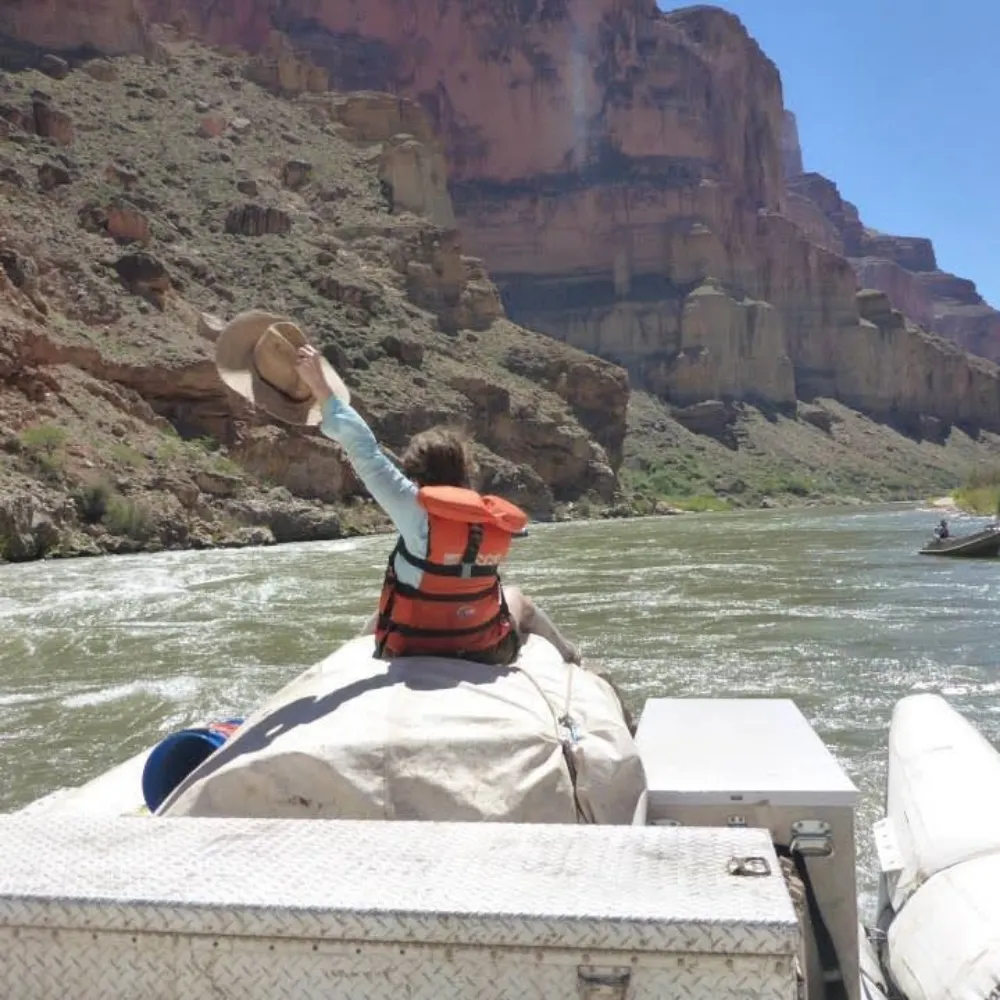 solarpunk-auntie.myatproto.social's profile picture