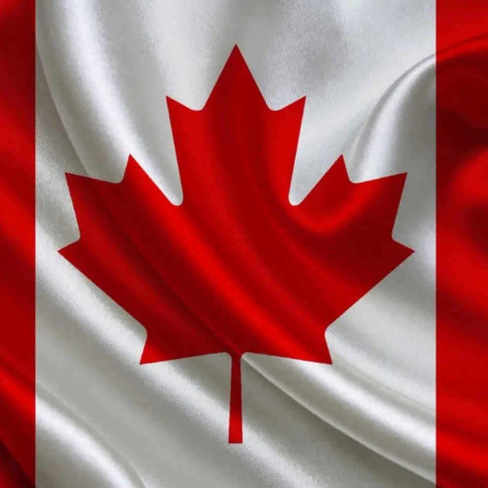 damappples.bsky.social's profile picture