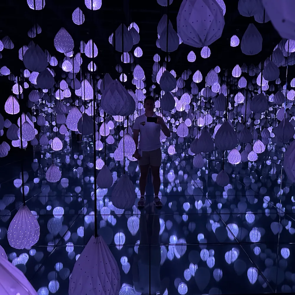 jimmy-d.bsky.social's profile picture