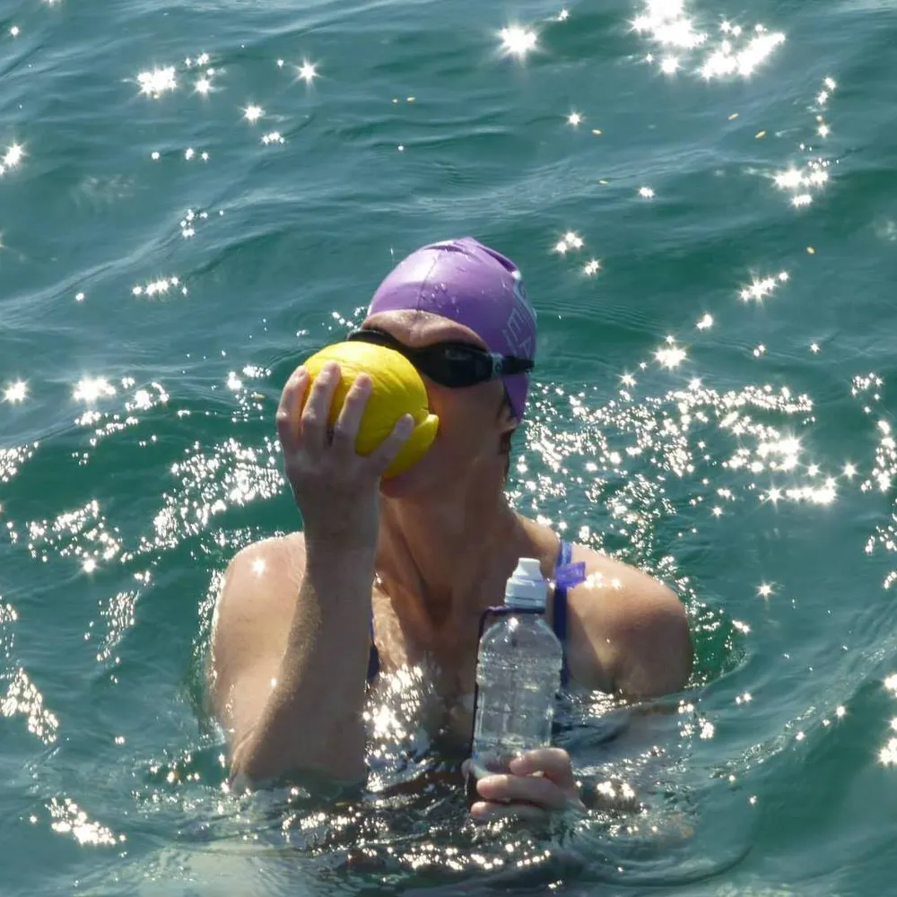 purpleswimbunny.bsky.social's profile picture