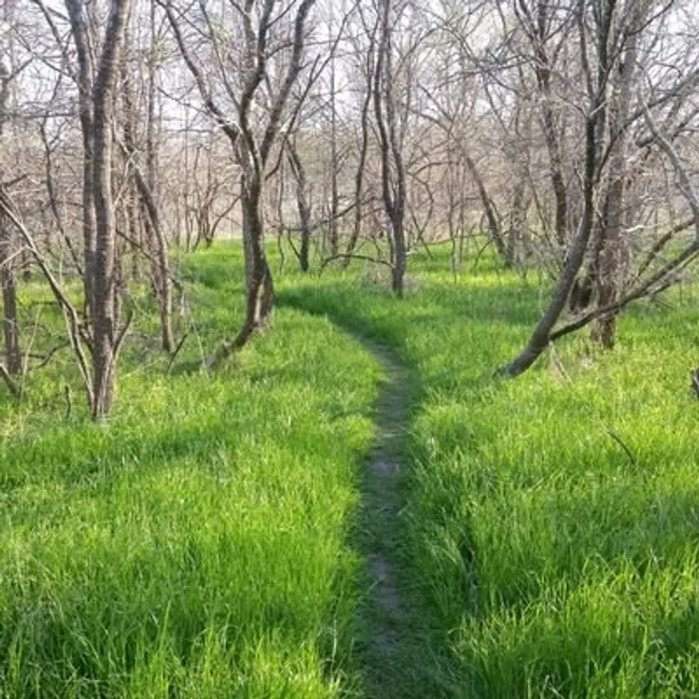 rambleratx.bsky.social's profile picture