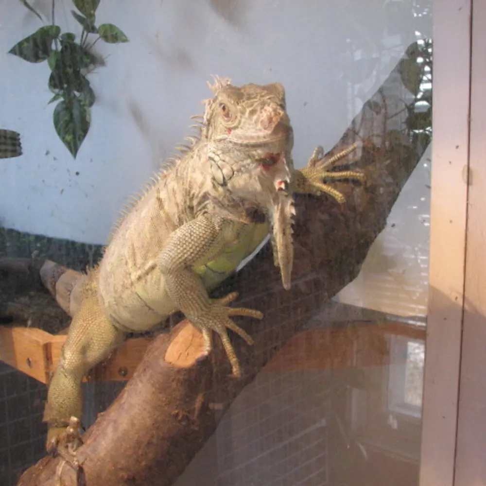 sparkynewcastle.bsky.social's profile picture