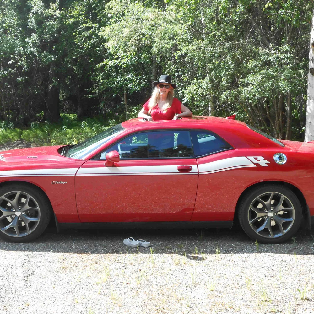 alaskagal.bsky.social's profile picture