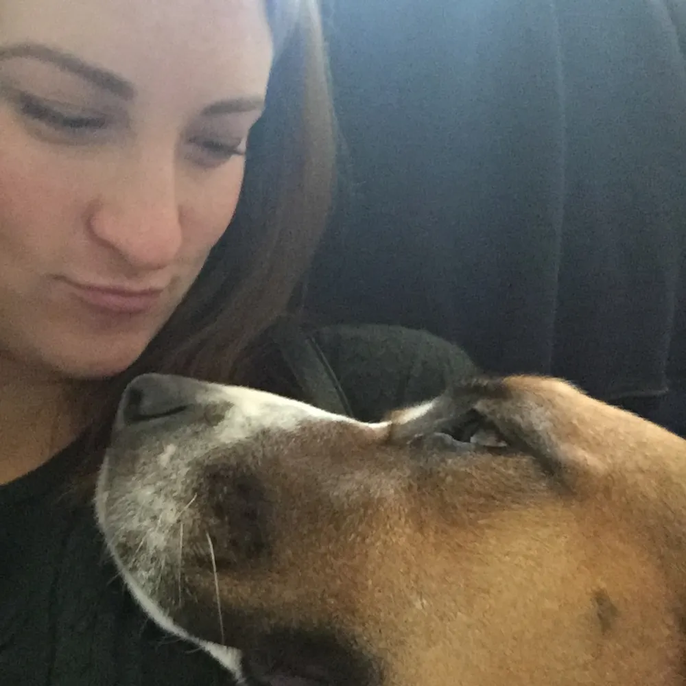 pagnificent.bsky.social's profile picture