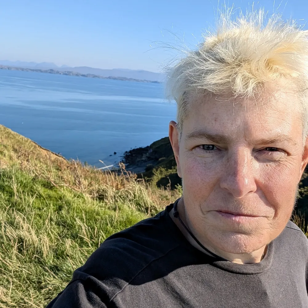 valkmer2.bsky.social's profile picture