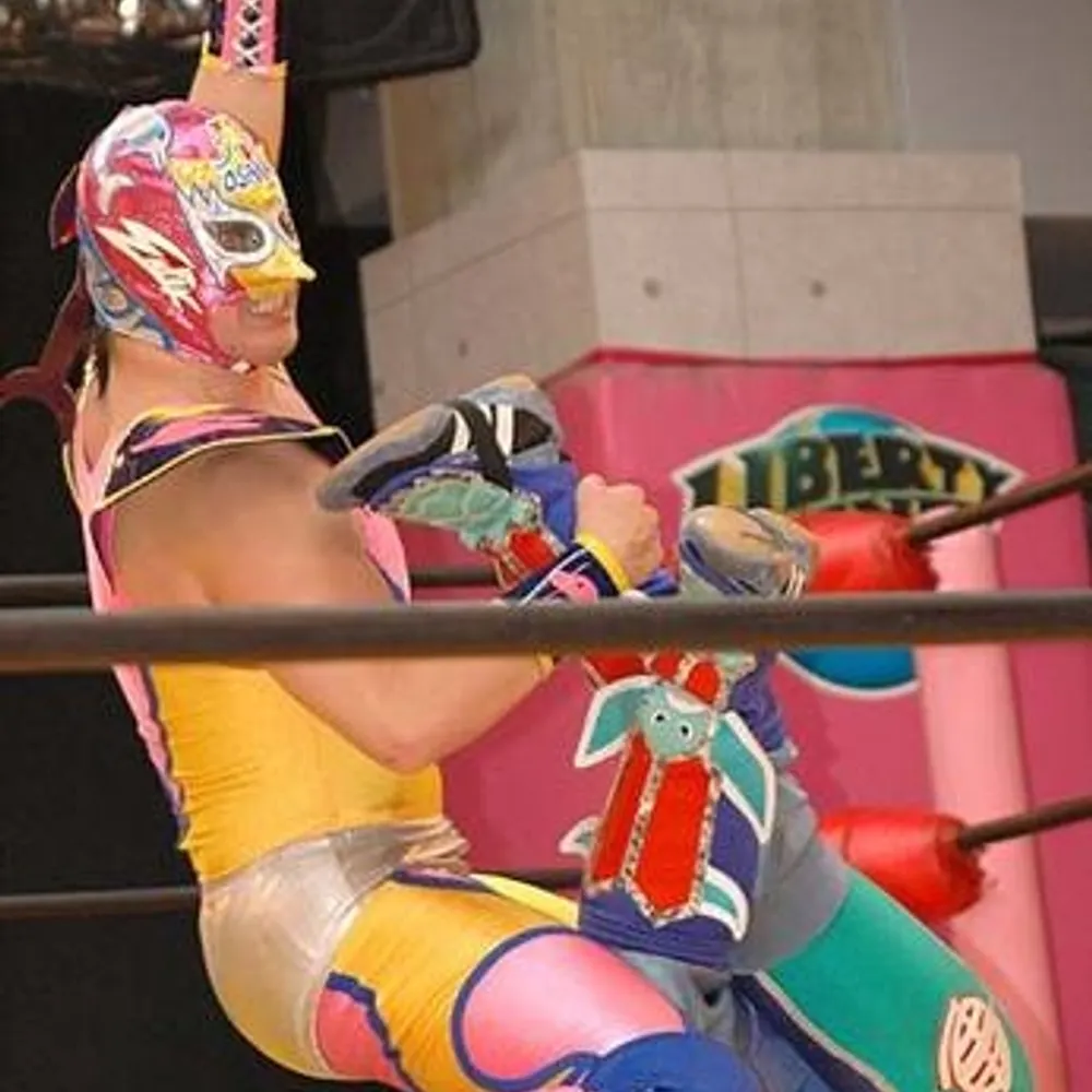 thedelfinclutch.bsky.social's profile picture