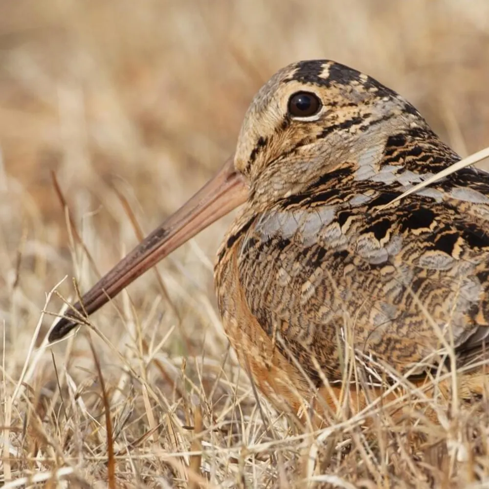 green496.bsky.social's profile picture