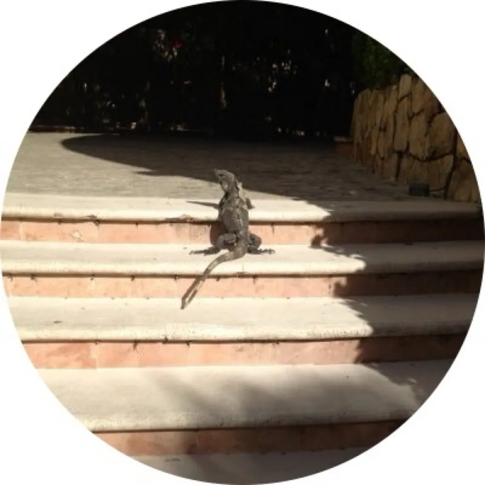 shamusbrown1.bsky.social's profile picture