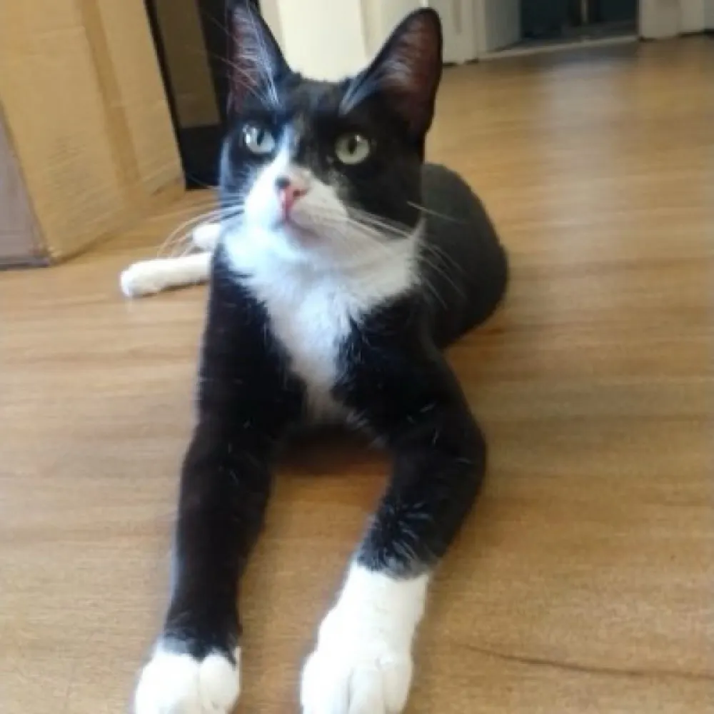 drizon.bsky.social's profile picture