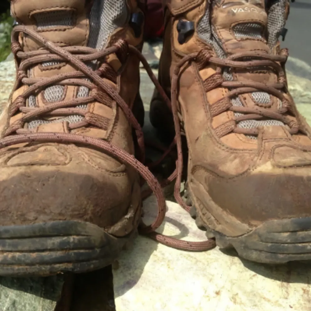 alterednomad.bsky.social's profile picture