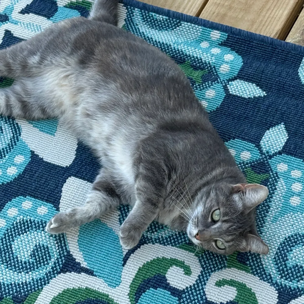 sousleradar.bsky.social's profile picture