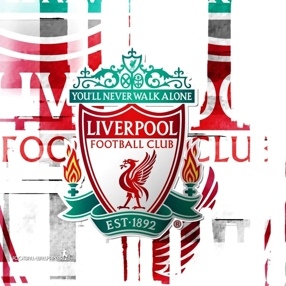 apbirdman68.bsky.social's profile picture