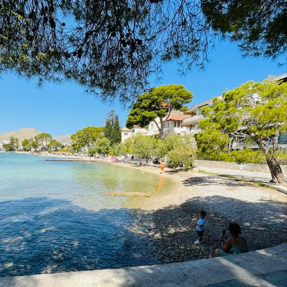 gec236.bsky.social's profile picture