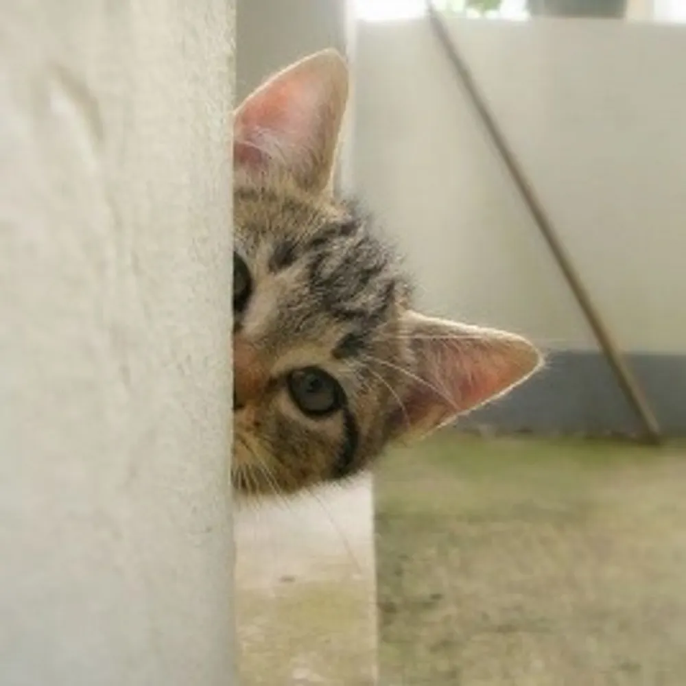 kendersrule.bsky.social's profile picture