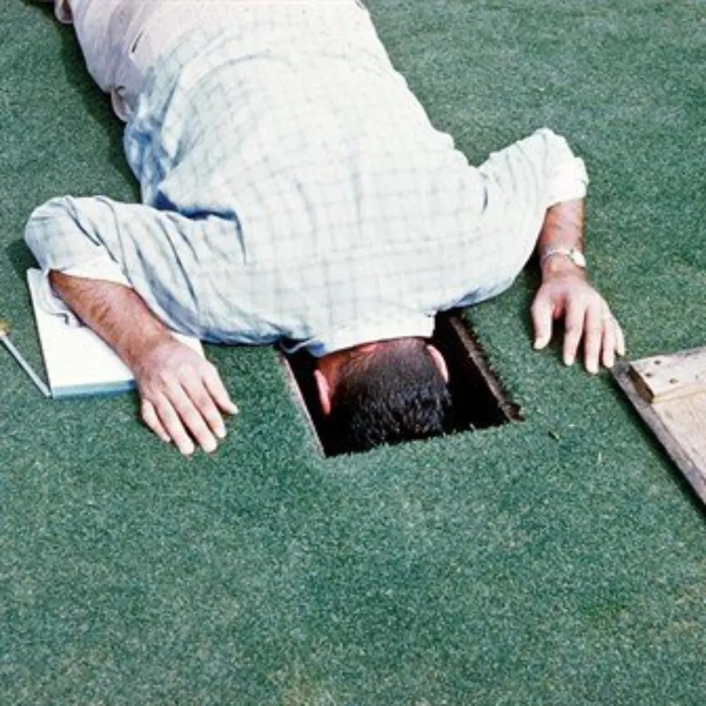 provenwinner.bsky.social's profile picture