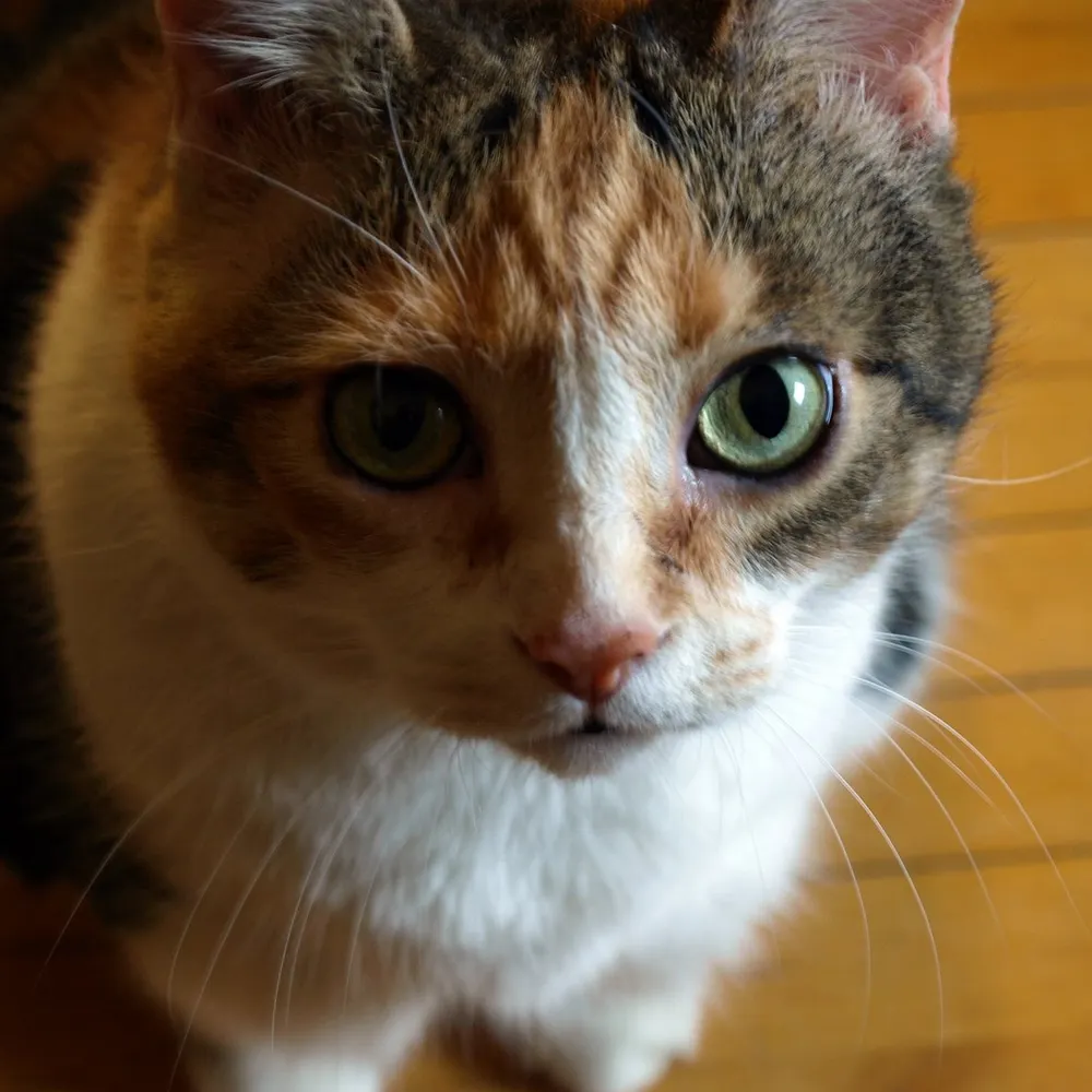 bob1948.bsky.social's profile picture