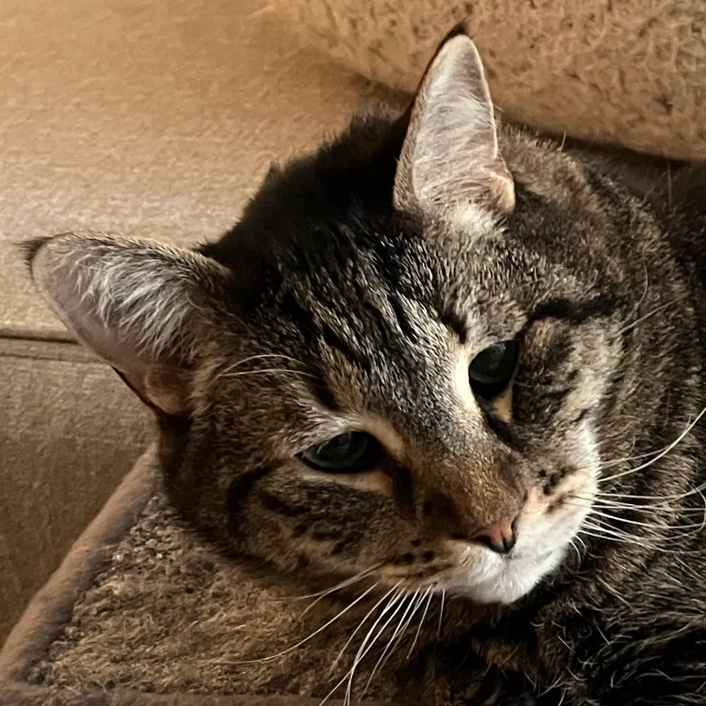 tambacounda.bsky.social's profile picture