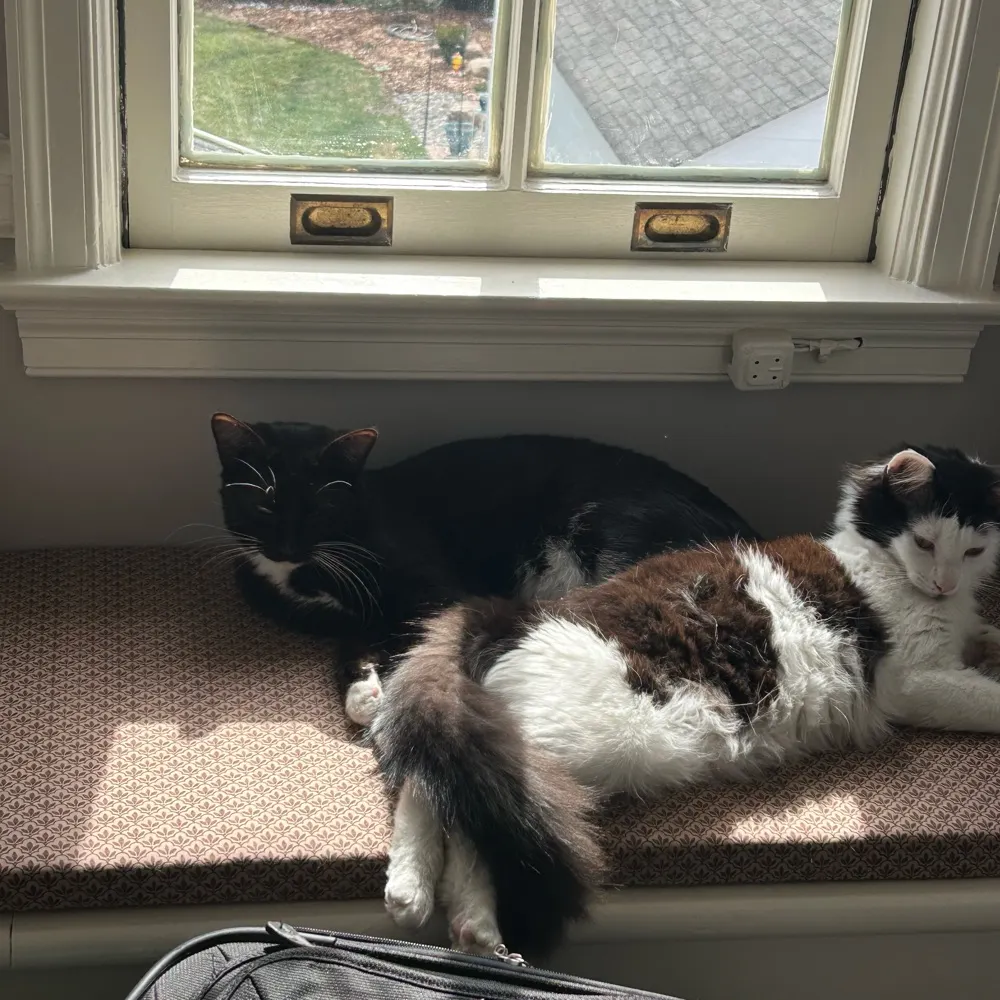 dasmar-95.bsky.social's profile picture