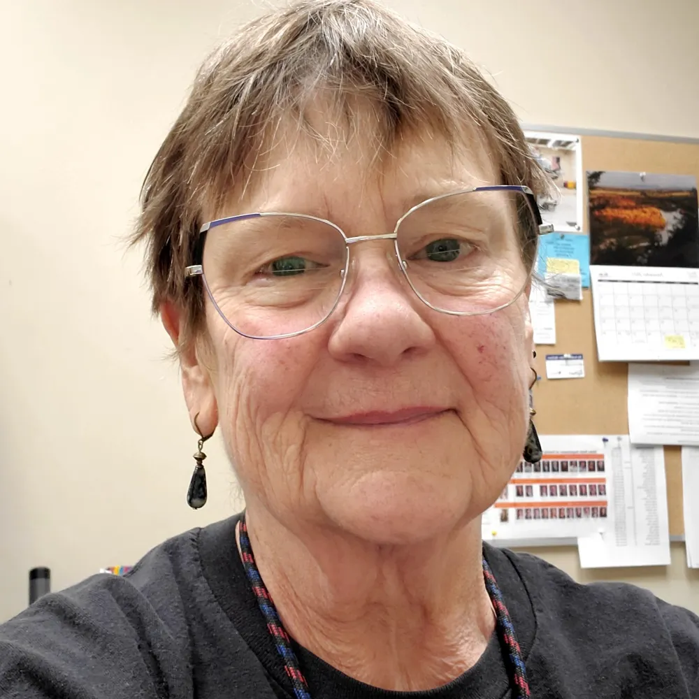 anitaanne.bsky.social's profile picture