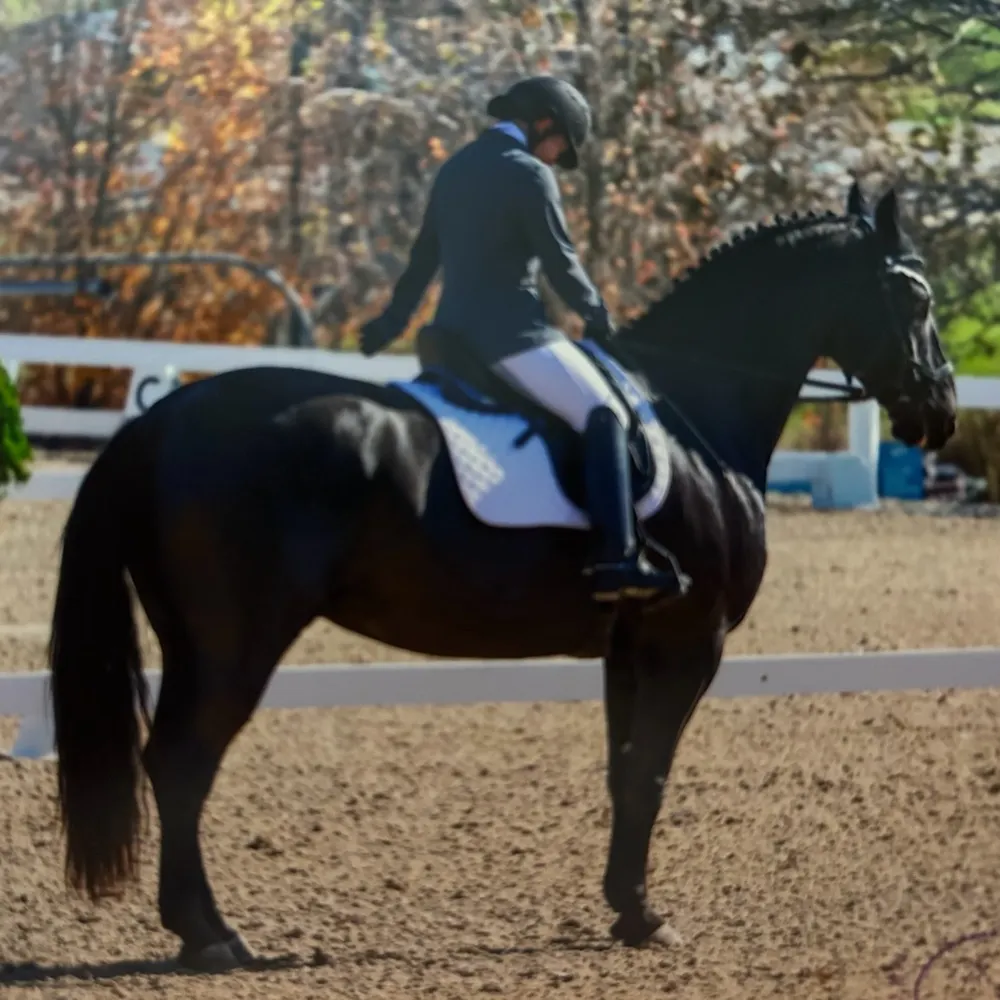 ecmkat.bsky.social's profile picture