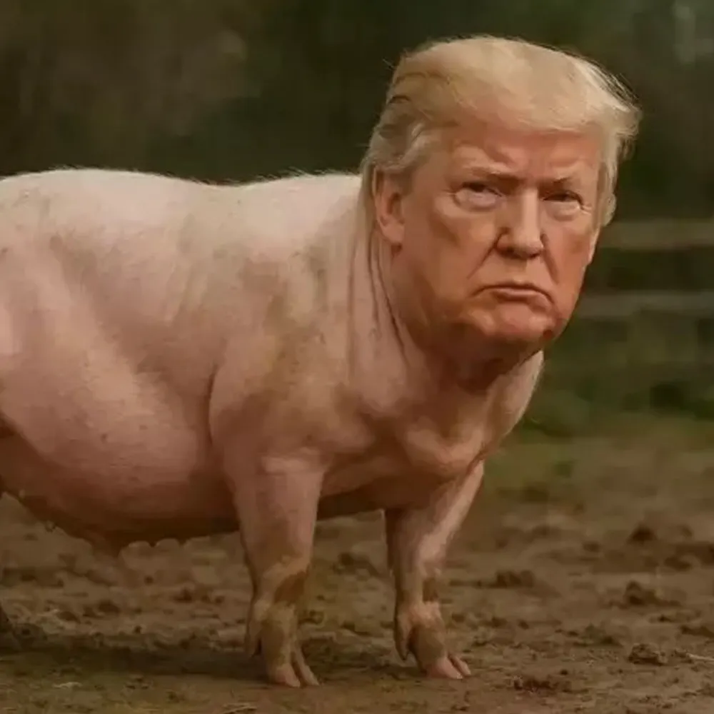 snowballs11.bsky.social's profile picture