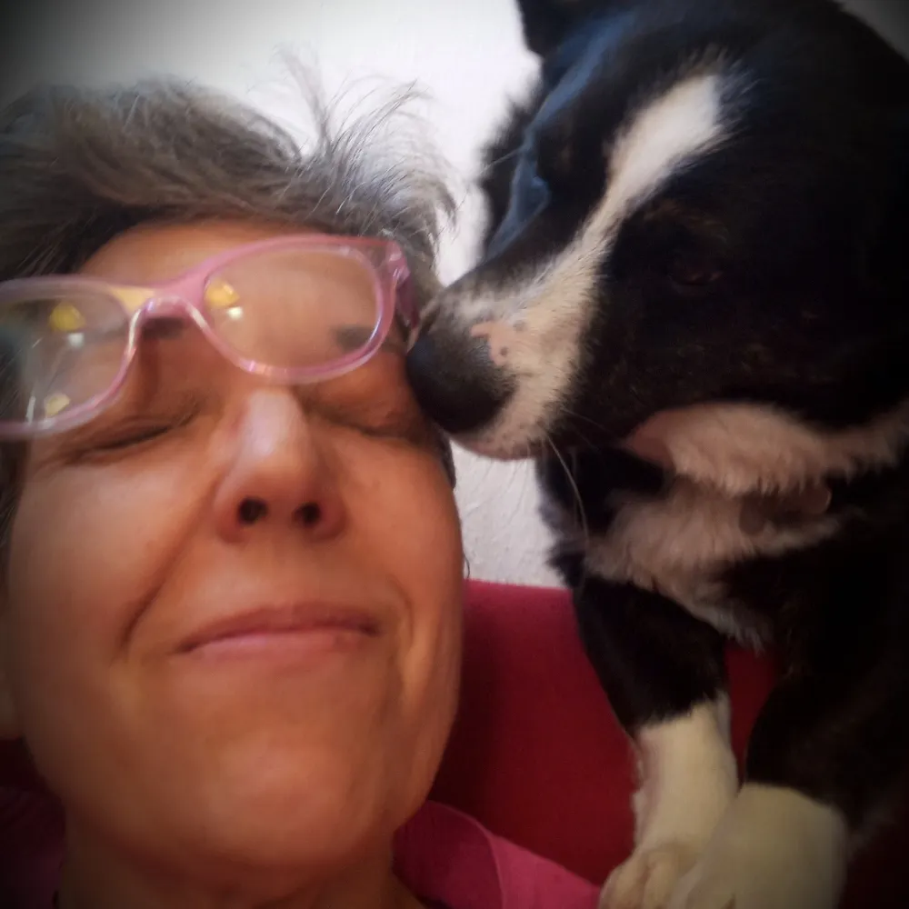 bardbag.bsky.social's profile picture