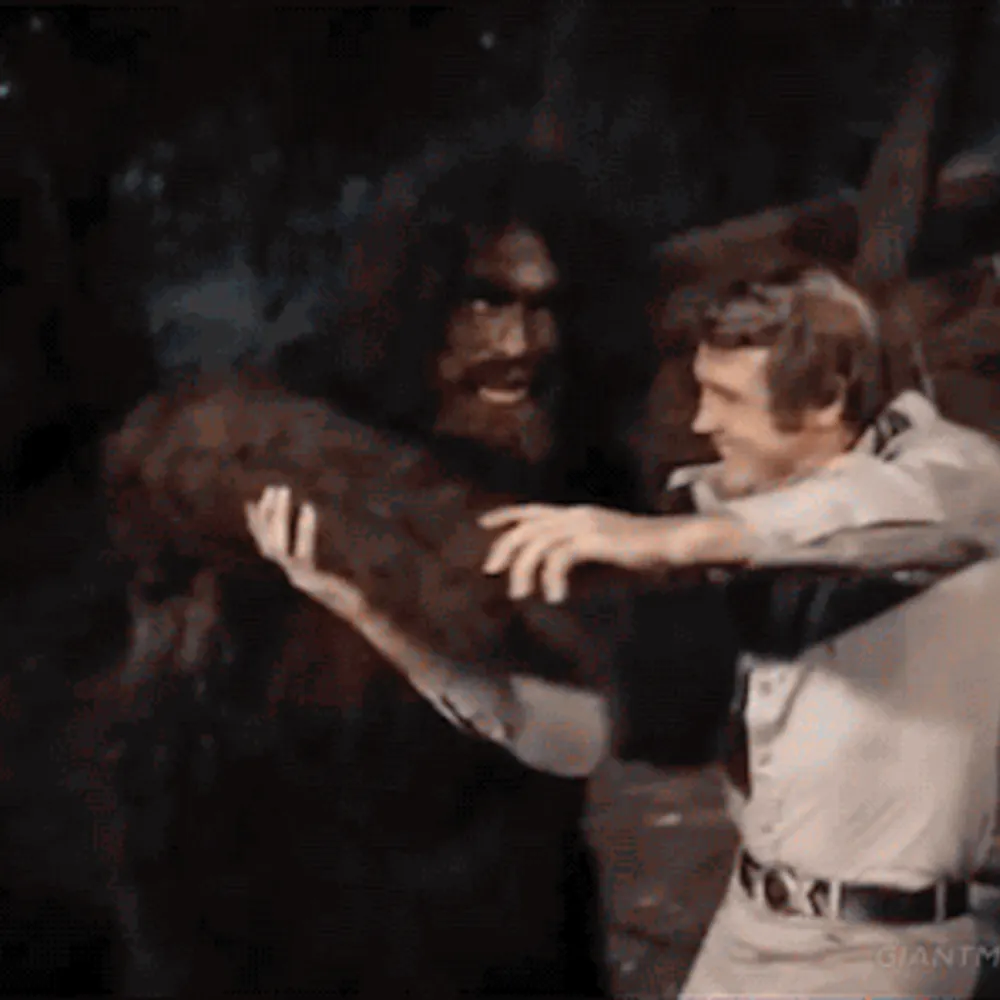 seancreedon.bsky.social's profile picture