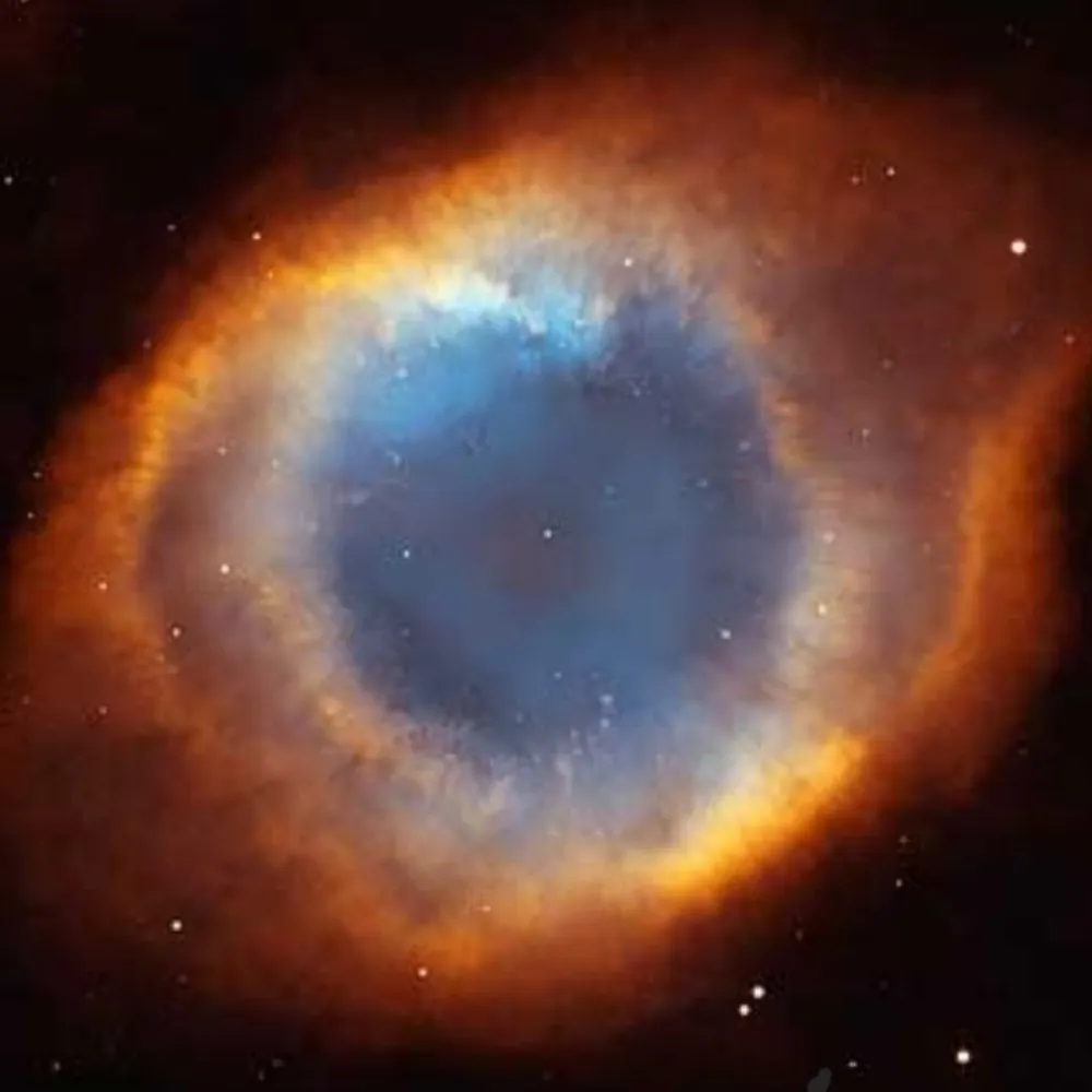 maximustm.bsky.social's profile picture