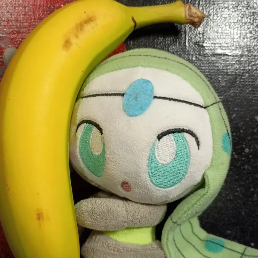 devilsw1fe.bsky.social's profile picture