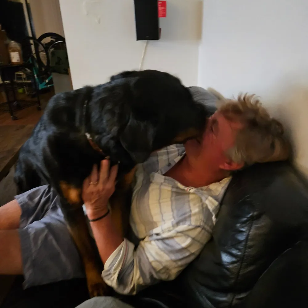 capemaydave.bsky.social's profile picture