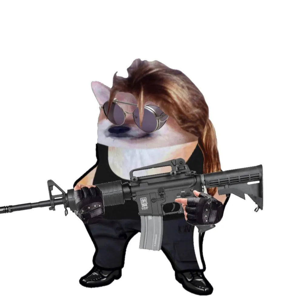 fiddledidi.bsky.social's profile picture