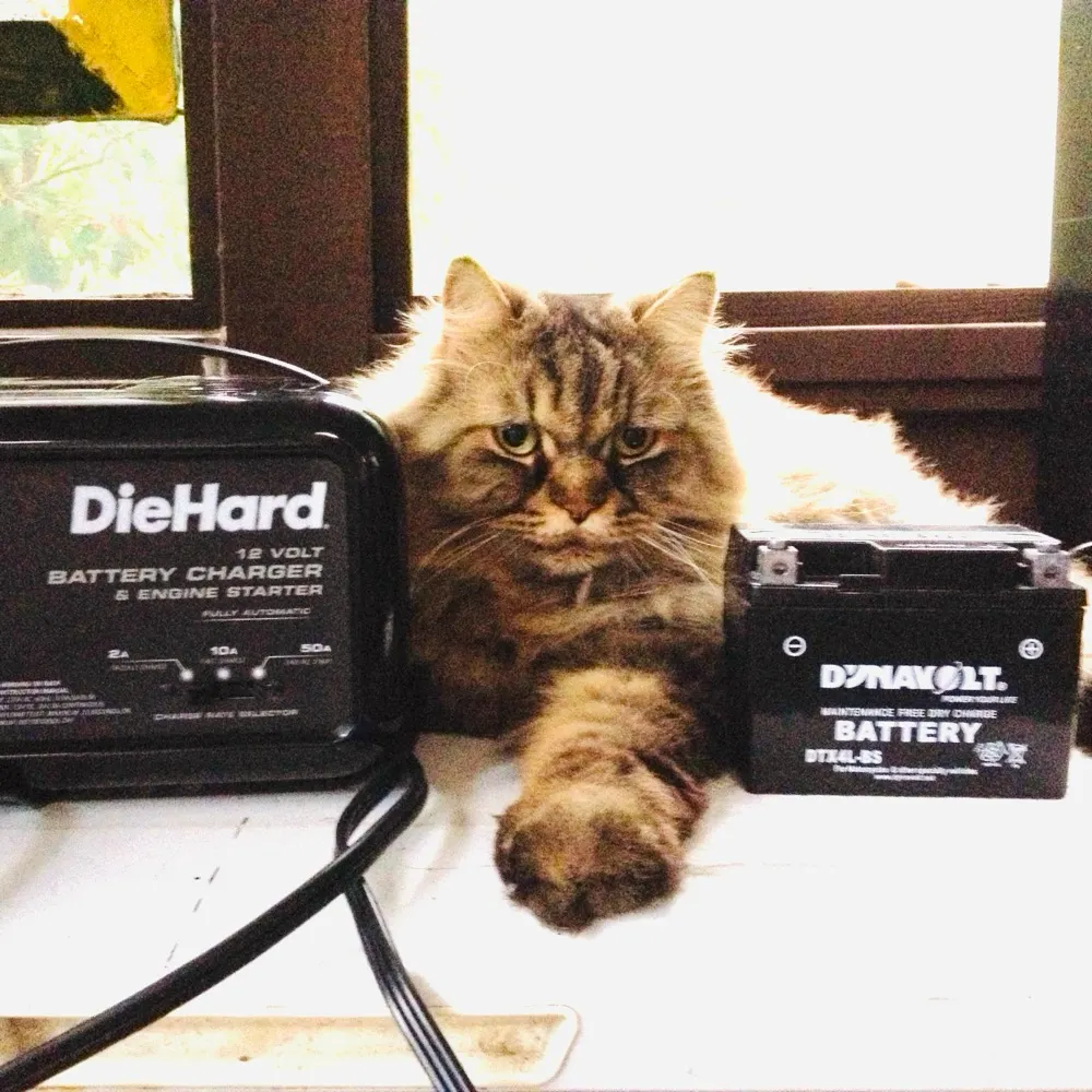 srmicksims.bsky.social's profile picture