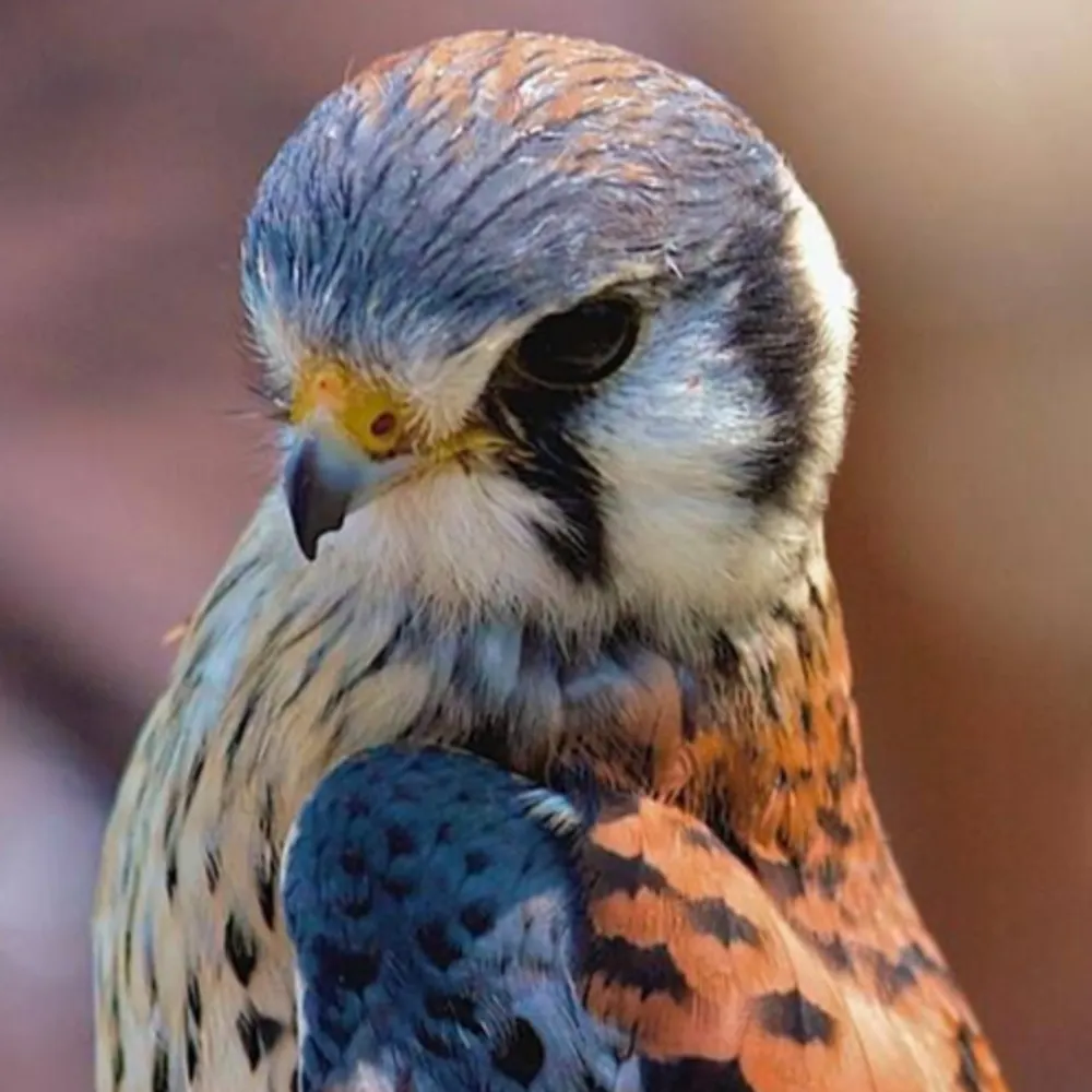 reservatory.bsky.social's profile picture