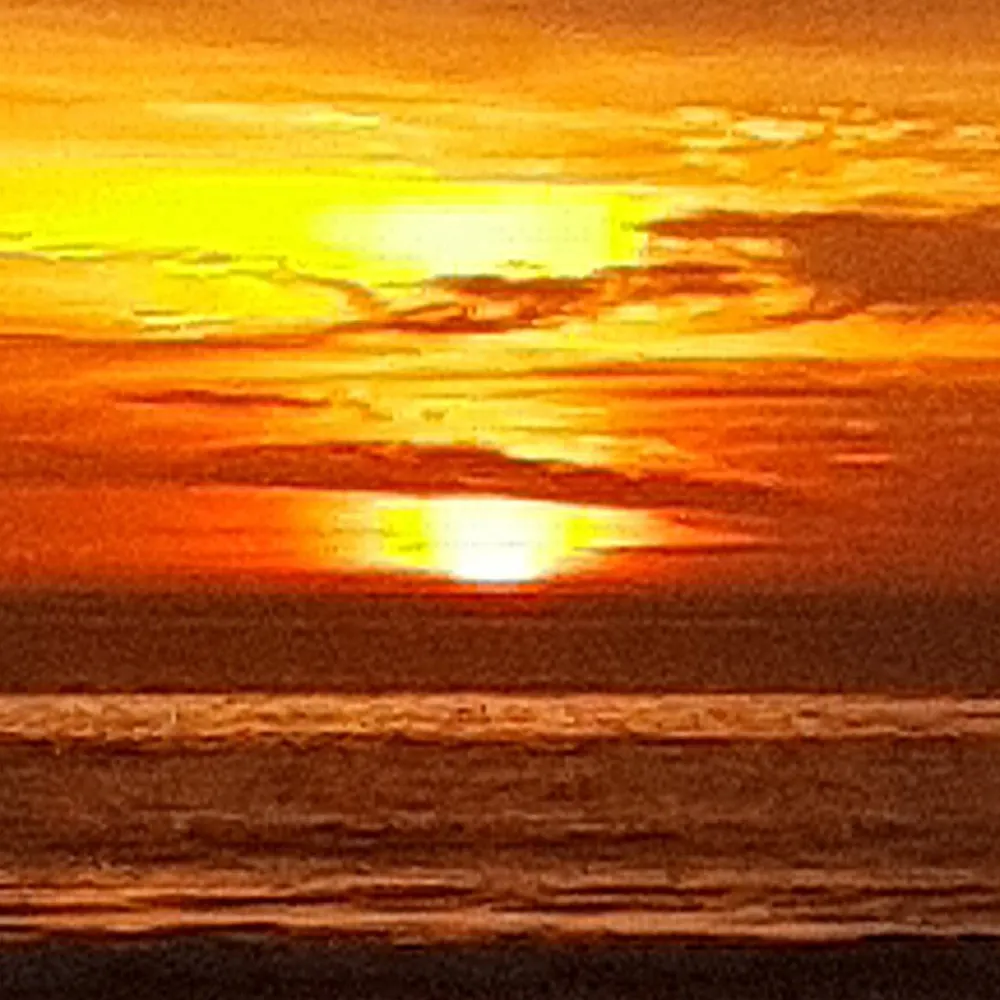 sweetiesue1111.bsky.social's profile picture