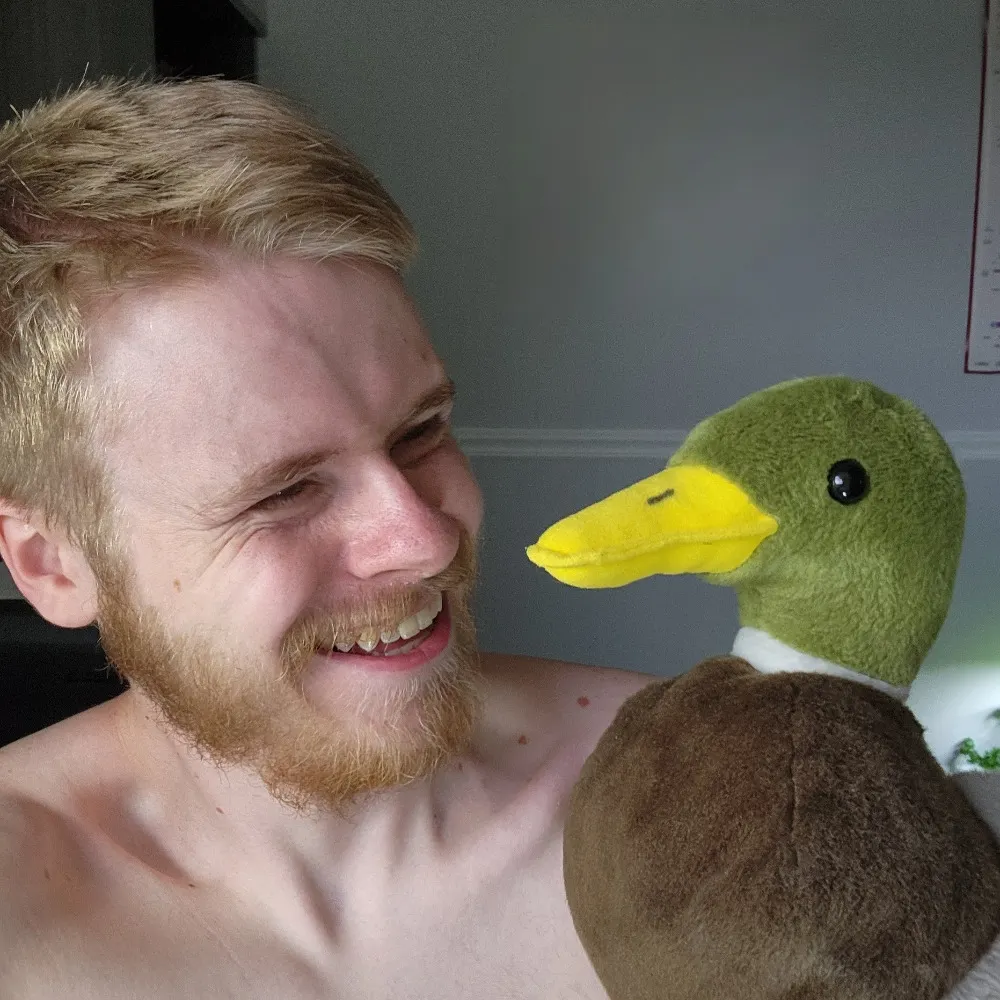 simpleduckman.name's profile picture