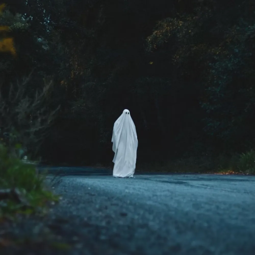 classicbooghost.bsky.social's profile picture