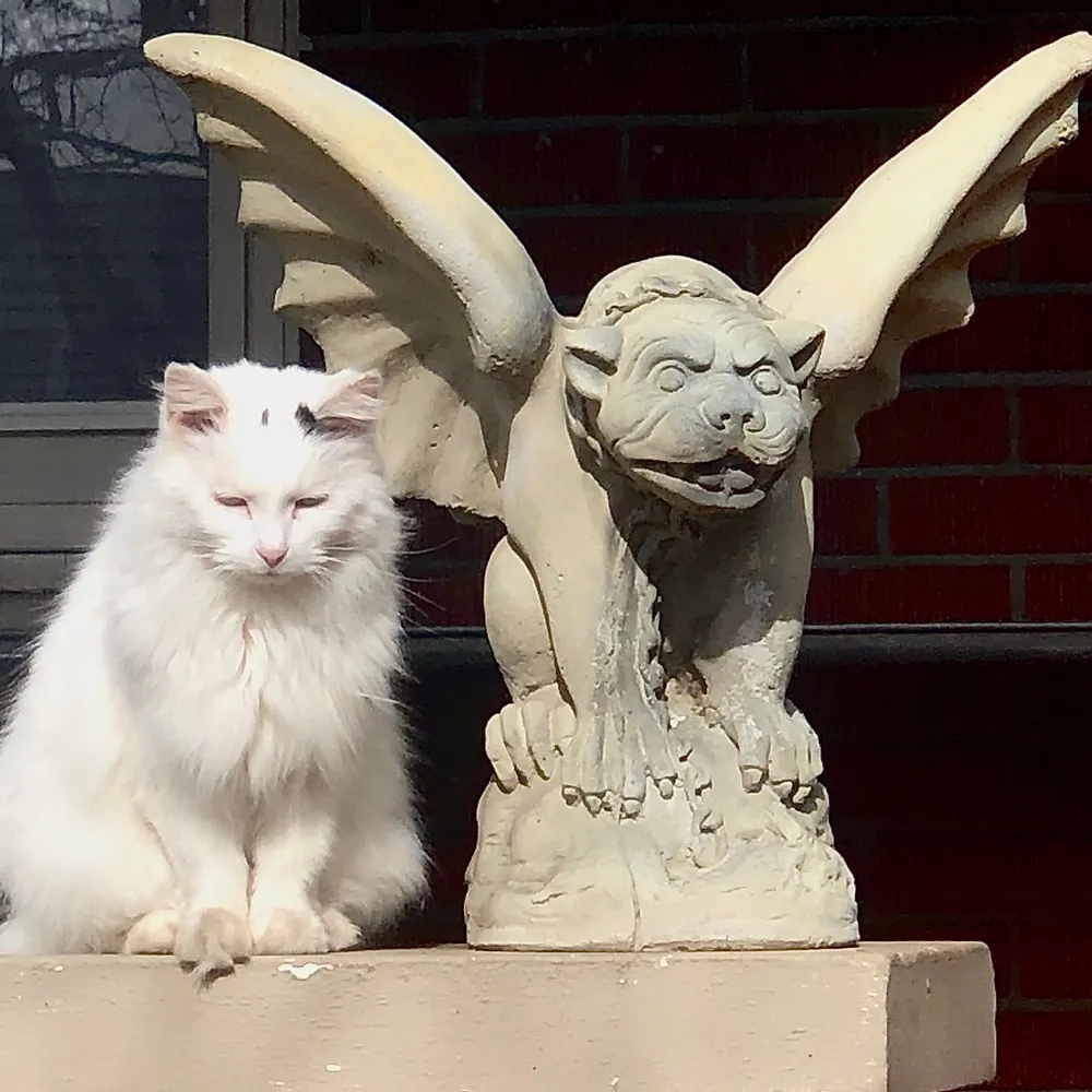 dkc.bsky.social's profile picture