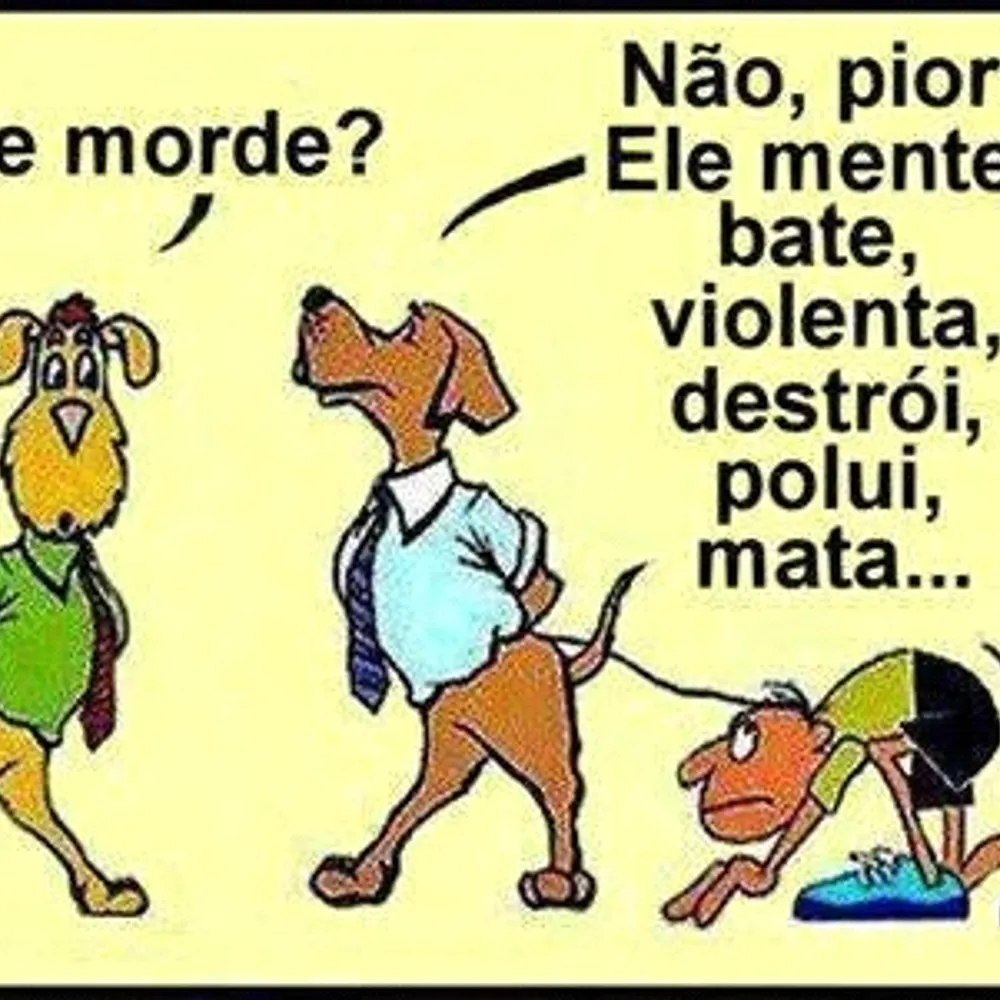 kavatoco.bsky.social's profile picture