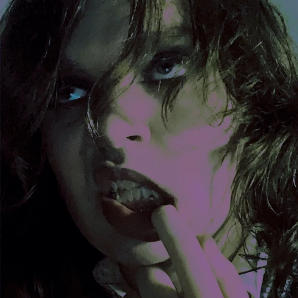 coppuncher666.bsky.social's profile picture